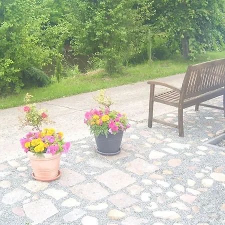 In With Swimming Pool *